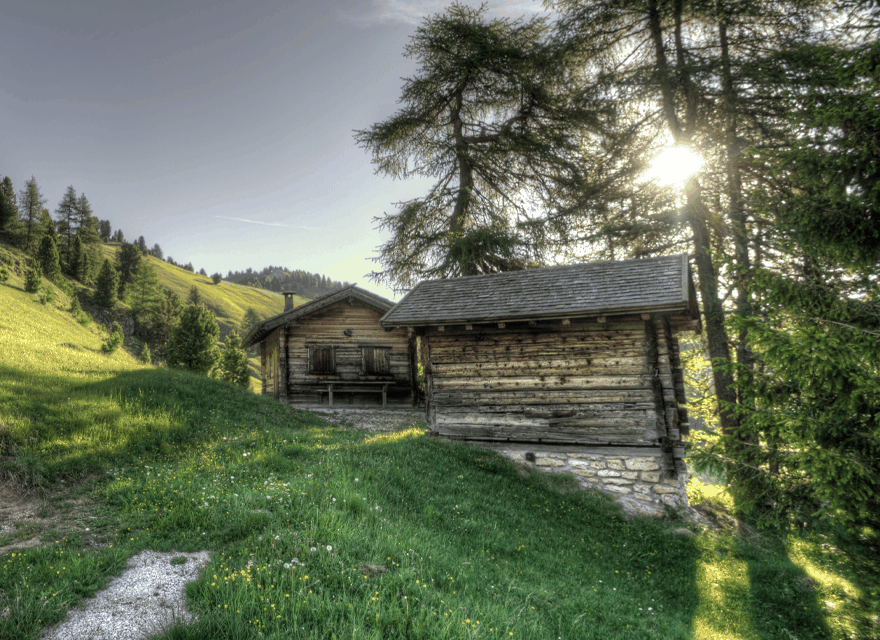 Wooden cabin off-grid living scene